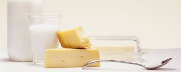 NVTI Diploma in Milk &Milk Product